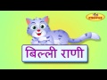 Billi Rani Hindi Nursery Rhymes For Children | KidsOne Mp3 Song