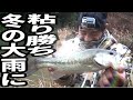 バス釣り　冬の大雨で絞り出した１匹は嬉しい！