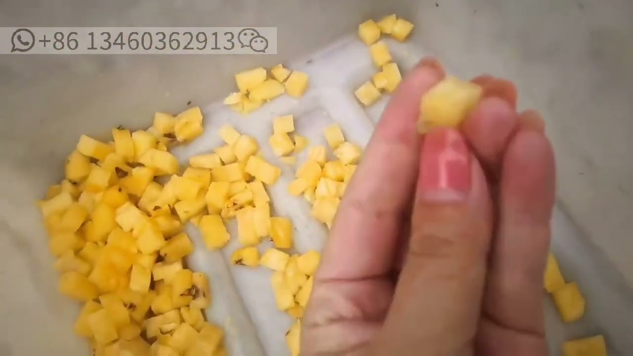 High Quality Vegetable&meat Cube Cutting Machine Frozen Pork Dicing Machine/beef Dicer