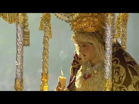 Real, Ilustre y Fervorosa Hermandad Sacramental de la Pura y Limpia Concepción de la Santísima Virgen María, Ánimas Benditas del Purgatorio y Cofradía de Nazarenos del Santísimo Cristo de la Salud, María Santísima del Refugio, Santa Cruz, Nuestra Señora del Patrocinio, Santa Bárbara y San Bernardo