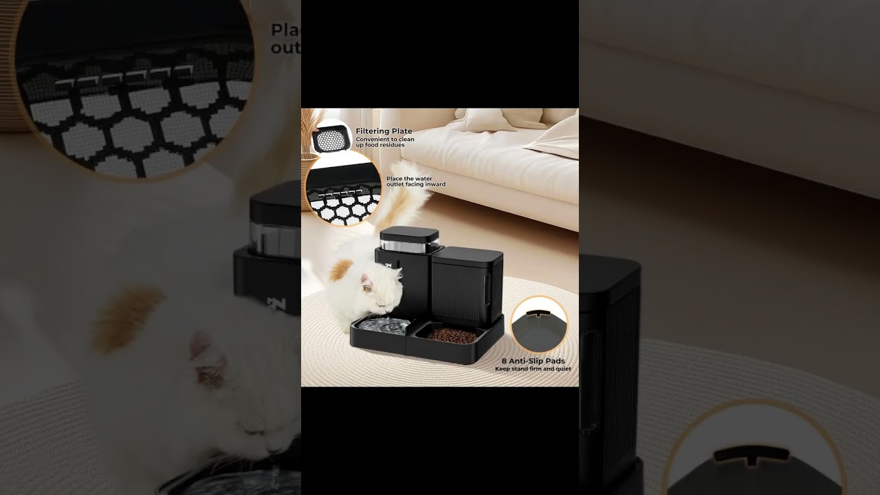 The Ultimate Cat Toy That Adapts to Your Feline's Play Style!