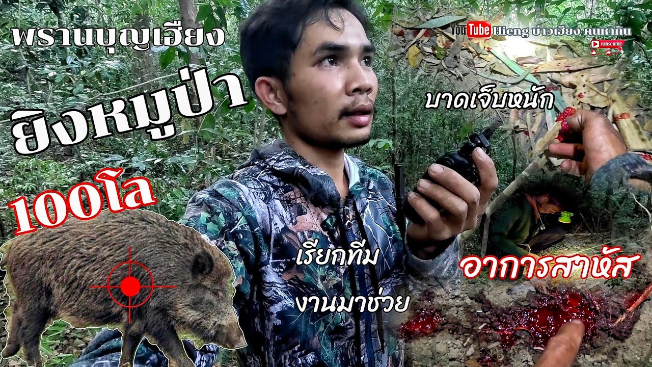 พรานบุญเฮืยงยิงหมูป่า100โลบาดเจ็บหนักอาการสาหัส//ຍິງຫມູປ່າ100ໂລບາດເຈັບຫນັກອາການສາຫັດ ปลา