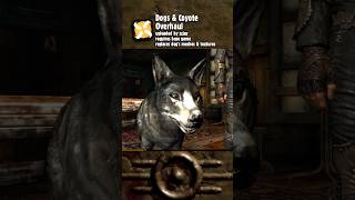 4 New HD Model & Texture Mods for #Fallout New Vegas 4 New HD Model & Texture Mods for #Fallout New Vegas