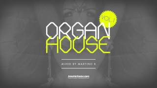 Martino B ● Organ House v001 (March 2015)