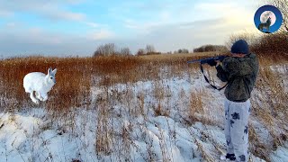 видео: ДОБЫЧЛИВАЯ ОХОТА НА ЗАЙЦА ПО ПЕРВОМУ СНЕГУ картинка: ДОБЫЧЛИВАЯ ОХОТА НА ЗАЙЦА ПО ПЕРВОМУ СНЕГУ