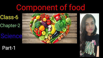 COMPONENT OF FOOD chapter 2 class 6 NCERT PART 1 FOR CTET/STET/UPTET/DSSSB