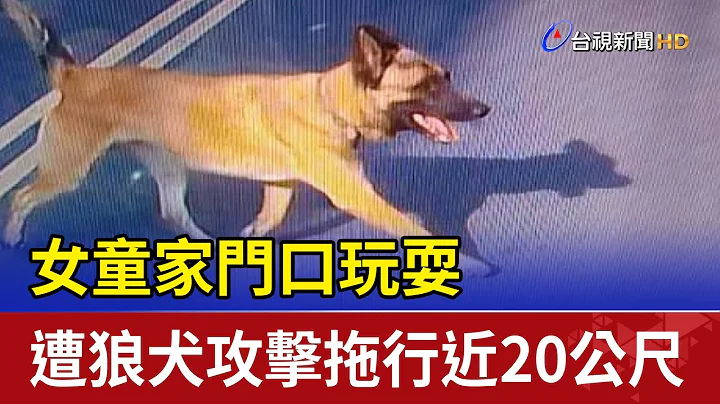 女童家门口玩耍 遭狼犬攻击拖行近20公尺 - 天天要闻