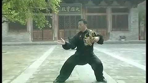 张东武老师新架一路完整演示 New Form Routine One Complete Demonstration by Master Zhang Dong Wu