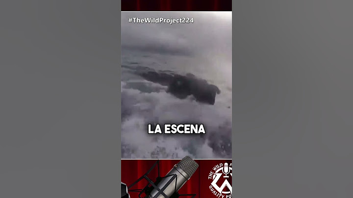 Jordi Wild reacciona al ALUCINANTE vídeo de unos marines entrando a un submarino en pleno océano
