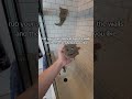 Revolutionize your shower cleaning routine with this hack! #cleaninghacks