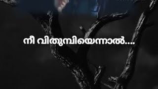 Neeyurangiyo Nilaave | Hitler | Mammootty | K J Yesudas | S P Venkitesh | Gireesh Puthanchery|