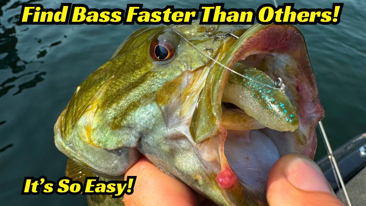 The Key To Finding Bass Faster Than Other Fisherman! So Easy But Never Discussed!
