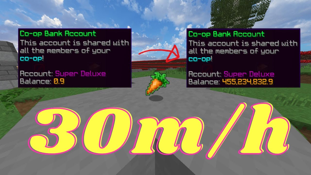 this-insane-money-making-method-makes-30m-h-hypixel-skyblock-youtube