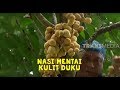 NASI MENTAI KULIT DUKU | JEJAK SI GUNDUL (23/04/20) Part 1