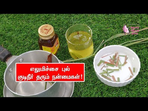எலுமிச்சை புல் குடிநீர் தரும் நன்மைகள்! ! Lemongrass tea benefits | Lemongrass tea benefits in Tamil