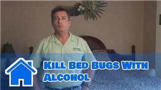 How to Kill Bed Bugs with Alcohol : How to Kill Bed Bugs With Alcohol