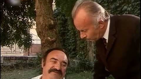 Varljivo leto ’68 - Pasja posla