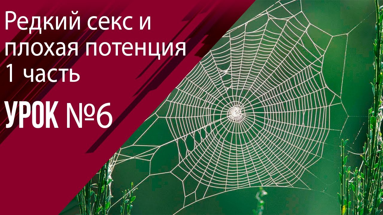 Постоянный Редкий Секс