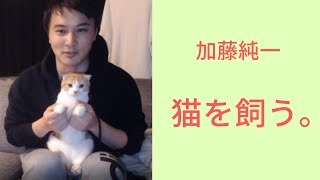 加藤純一、ねこを飼う。【2019/10/23】