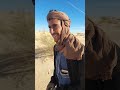شاهد جديد فيديو شاعرعادل القطاوي في قصيدة البادية ابن وادي سوف قرية العامره