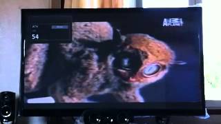 Global Destiny Cable TV