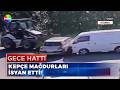 Araçları pert etti, utanmadan kaçtı!
