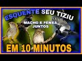 TIZIU CANTANDO MUITO E FÊMEA CHAMANDO /ESQUENTA NA HORA