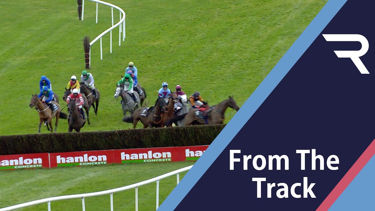 Loose Horses Cause Unwanted Drama At Punchestown Four Horses Taken Out Of The Race At One Fence Youtube