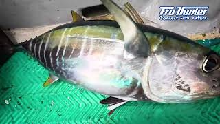 New Product Pro-Hunter Kaido Nervio Part 2 With Green Island