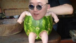 수박 파괴자 등장 ㅋㅋ
