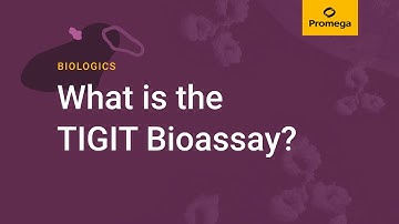 What is the TIGIT Bioassay? Jamison Grailer, PhD, Promega, discusses TIGIT bioassays.