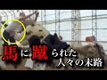 【実話】後ろに立つな！馬に蹴られた人々の末路4選