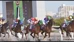 【FUNABASHI 】JAPAN HORSE RACES ANAYLSIS | 船橋 ...