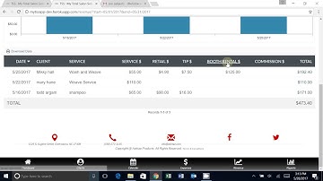 TSS APP Video Tutorial #4   Revenue Entry Basic
