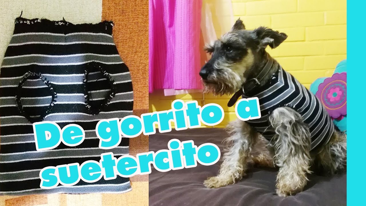 De gorro a chalequito para perro - YouTube