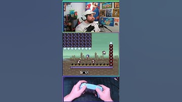 Shelltopia teddy shell