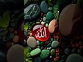 Nare takbir Allah Hu Akbar# trending# short# naat# Islamic #video #status #2024