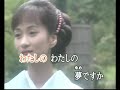 冬の宿  (cover)