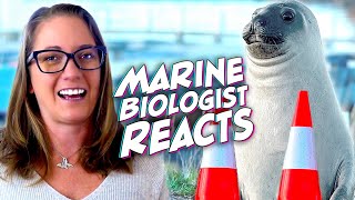 Neil the Seal: Marine Biologist's Take on the Viral Sensation