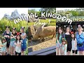 Our day at animal kingdom  day 1 of 8  bonnie with enchanted vacations