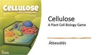 Cellulose - Átbeszélés