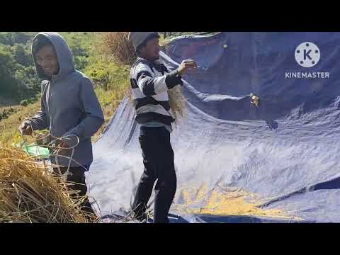 Dt28 0CTOBER 2025 MANGGOULAL TE CHANGDEN NI