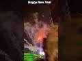 Happy New Year (New Year Celebration) Fireworks