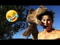 Best funnys try not to laugh funny  hilarious peoples life 27