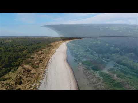 Video: Til Stranden: Det Bedste Middel Til Kropsformning