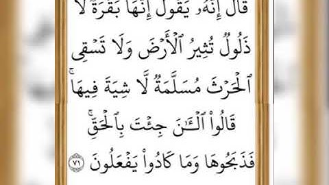اية ٧١ من سورة البقرة بصوت الحصري