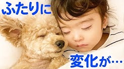Peco Channel Heartwarming Pet Videos Youtube