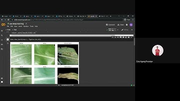 Identifikasi Penyakit Tanaman Jagung Menggunakan Metode CNN