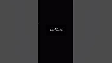 مـاهر المعيقلي | سورة آل عمران .