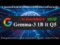Gemma-3 1B Q8 Benchmark (AI Comparison)